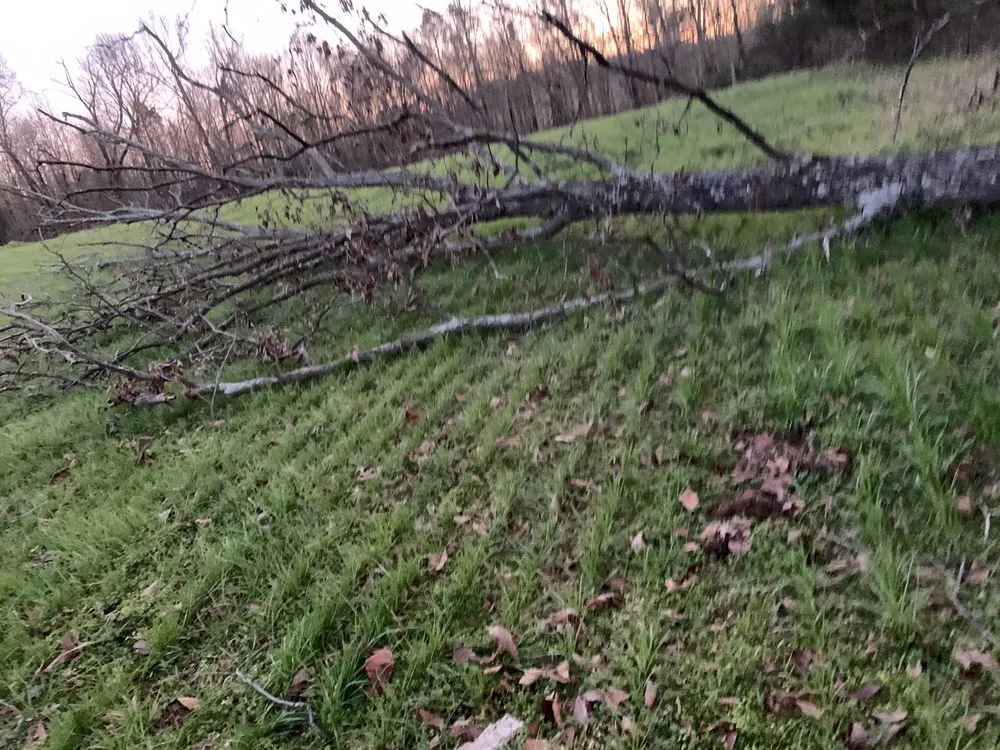 Local yard maintenance in Westminster, SC - Underwood’s Ground Solutions & Grading