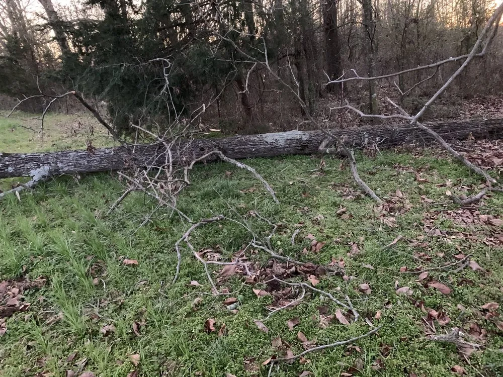 Expert landscape installation in Westminster, SC - Underwood’s Ground Solutions & Grading