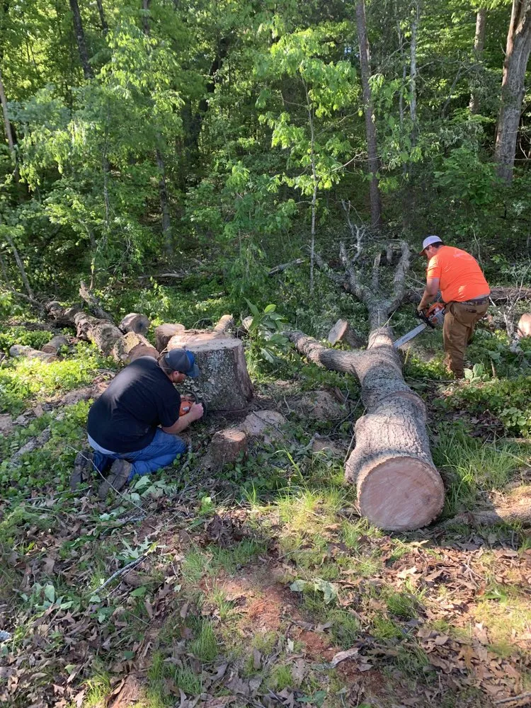 Top-rated lawn care service for homes across Westminster, SC - Underwood’s Ground Solutions & Grading