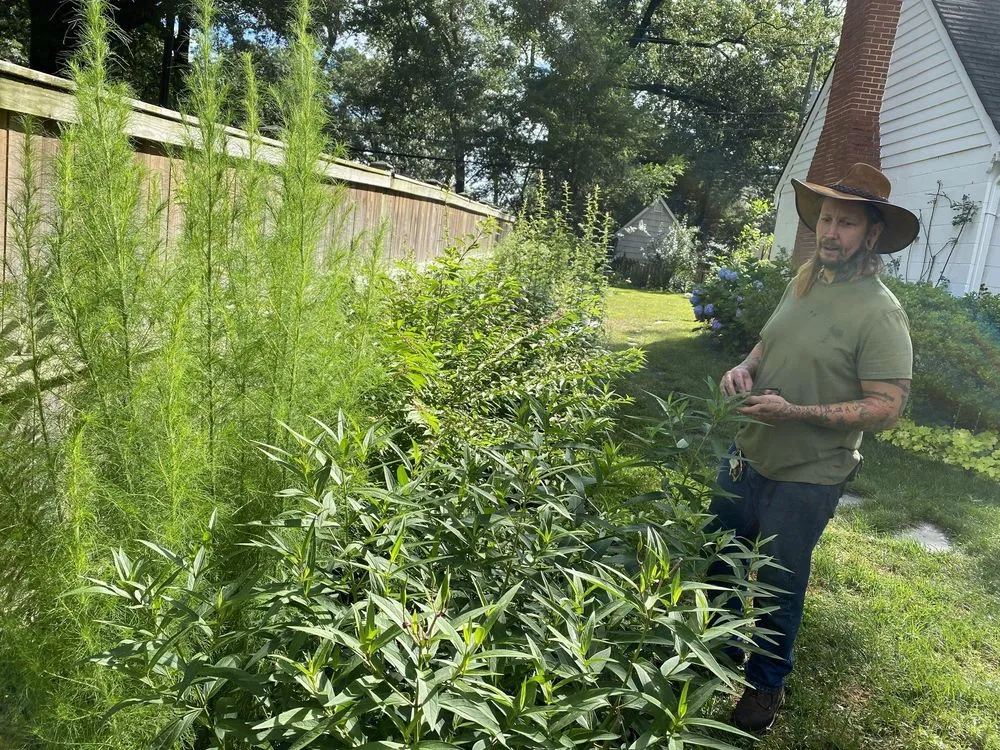 Top-rated residential landscaping for beautiful yards across Richmond, VA - Undoing Ruin Conservation Landscaping