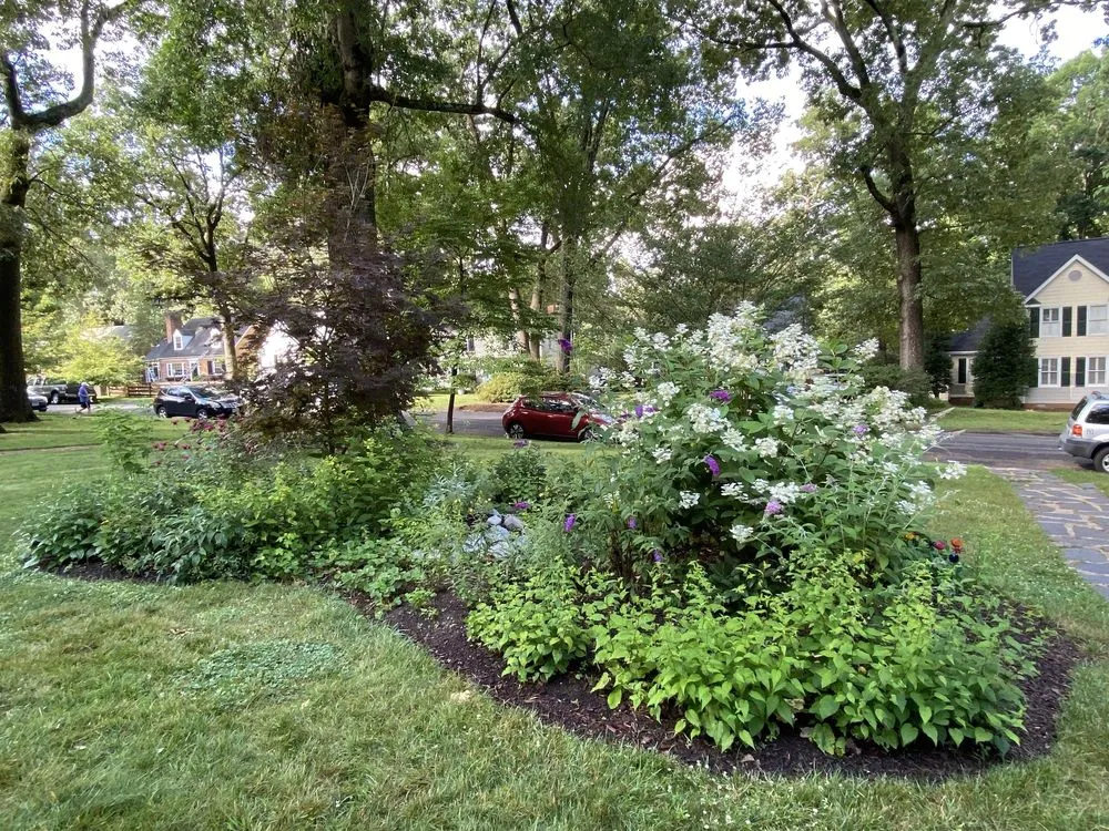 Local landscaping services for year-round maintenance in Richmond, VA by Undoing Ruin Conservation Landscaping