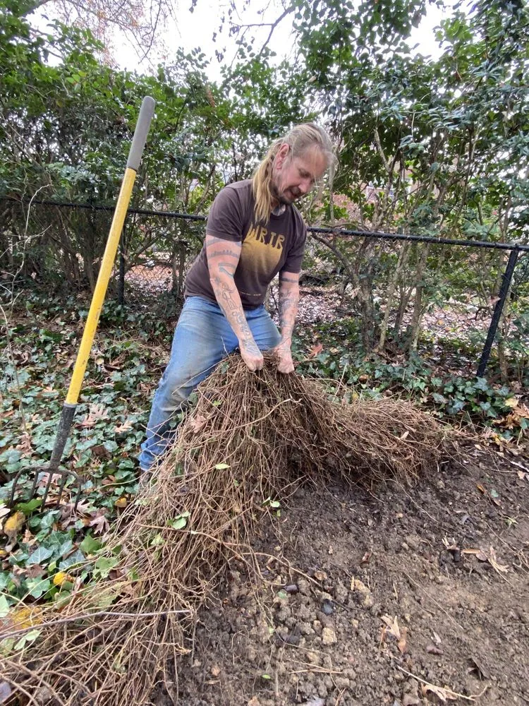 Top-rated residential landscaping in Richmond, VA by Undoing Ruin Conservation Landscaping