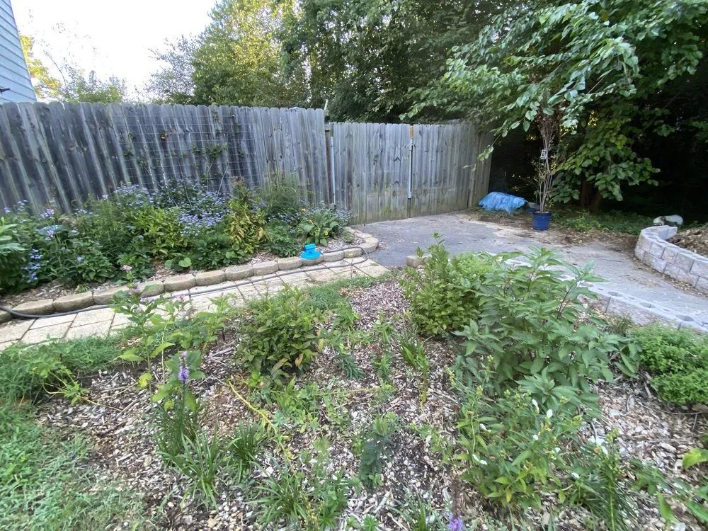 Local residential landscaping in Richmond, VA by Undoing Ruin Conservation Landscaping