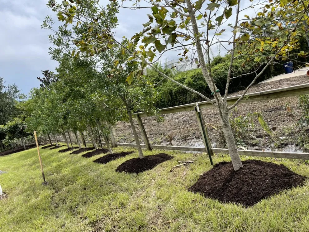 Professional landscaping services experts serving Folsom, LA - Uneedus Landscape