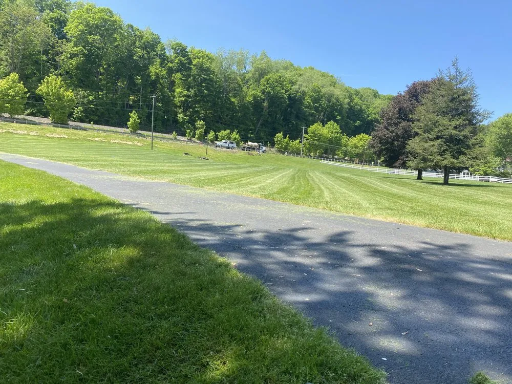 Affordable residential landscaping in Dilliner, PA by Unfortunate lawn care