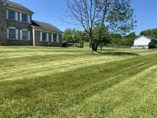 Unfortunate lawn care