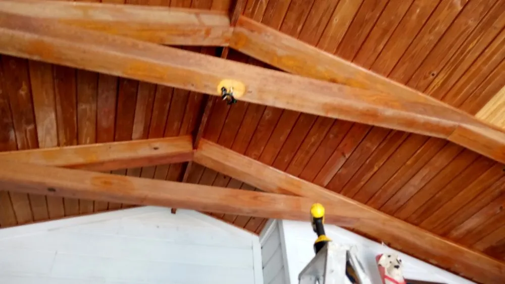 Reliable yard cleanup service in Birmingham, AL by Unifirm