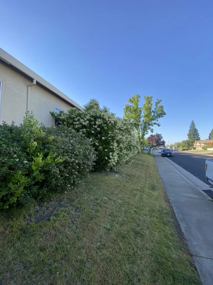 Custom landscape design with custom design in Citrus Heights, CA by Unik Landscaping