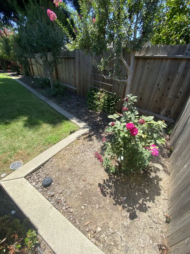 Reliable lawn care service in Citrus Heights, CA - Unik Landscaping