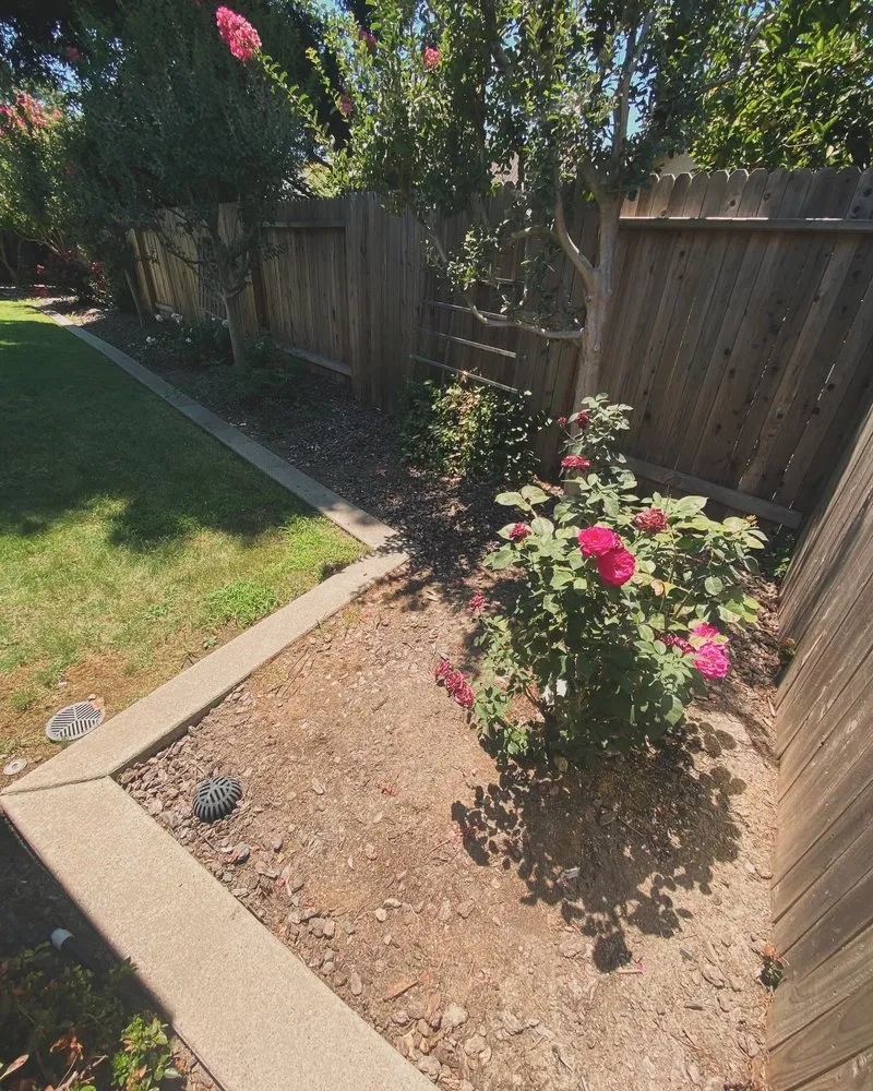 Reliable landscaping services for beautiful yards across Citrus Heights, CA - Unik Landscaping