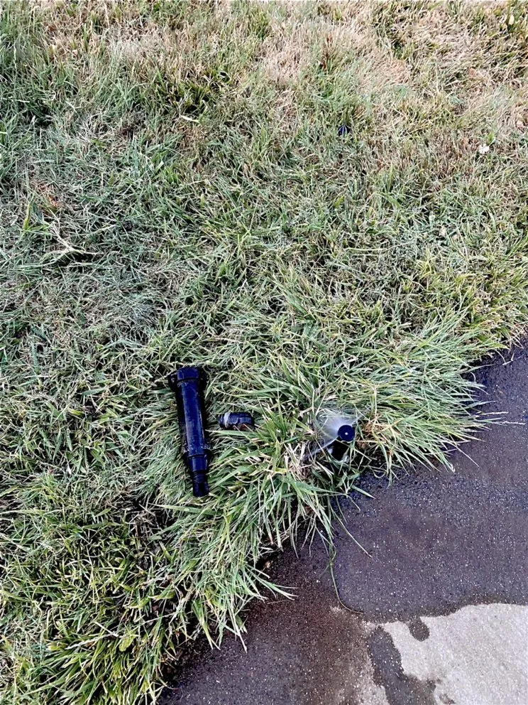 Trusted residential landscaping experts serving Citrus Heights, CA - Unik Landscaping