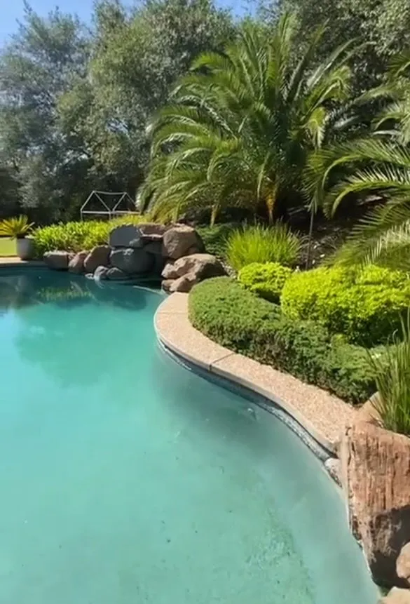 Reliable residential landscaping in Citrus Heights, CA - Unik Landscaping