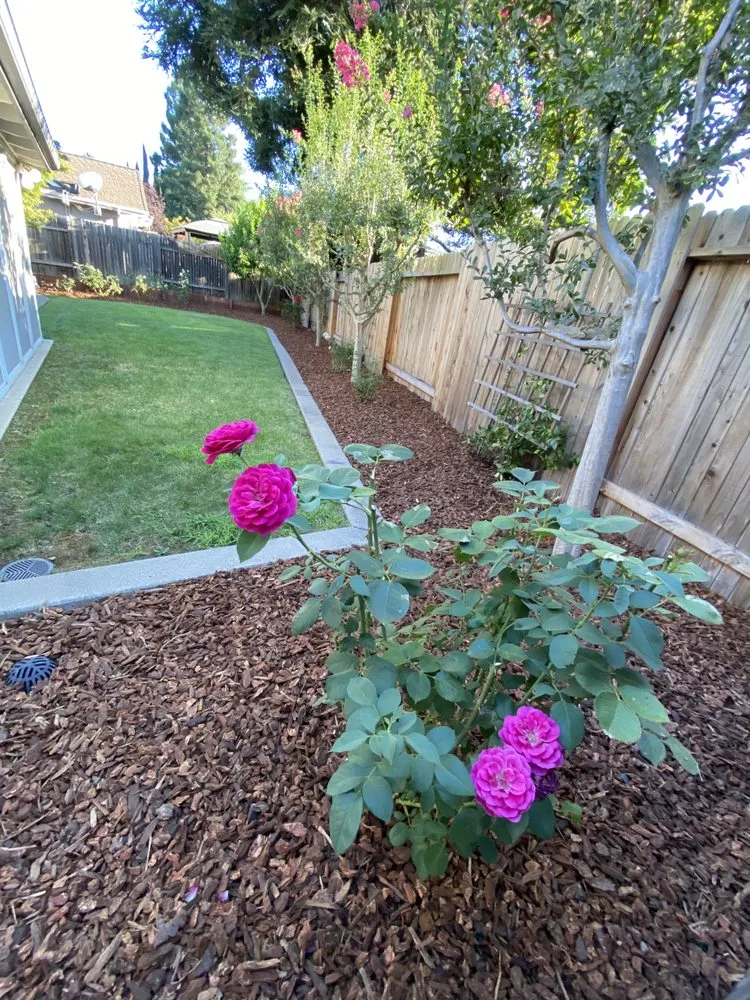 Top-rated outdoor landscaping in Citrus Heights, CA - Unik Landscaping