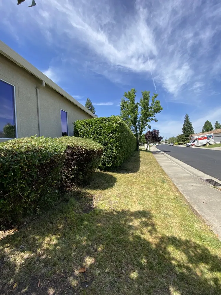 Trusted landscape design in Citrus Heights, CA - Unik Landscaping