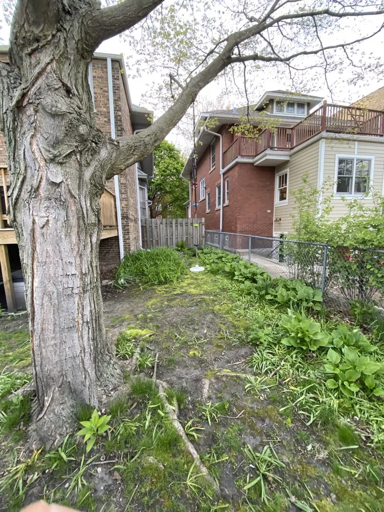 Professional lawn mowing service in Chicago, IL by Unikstone Hardscape