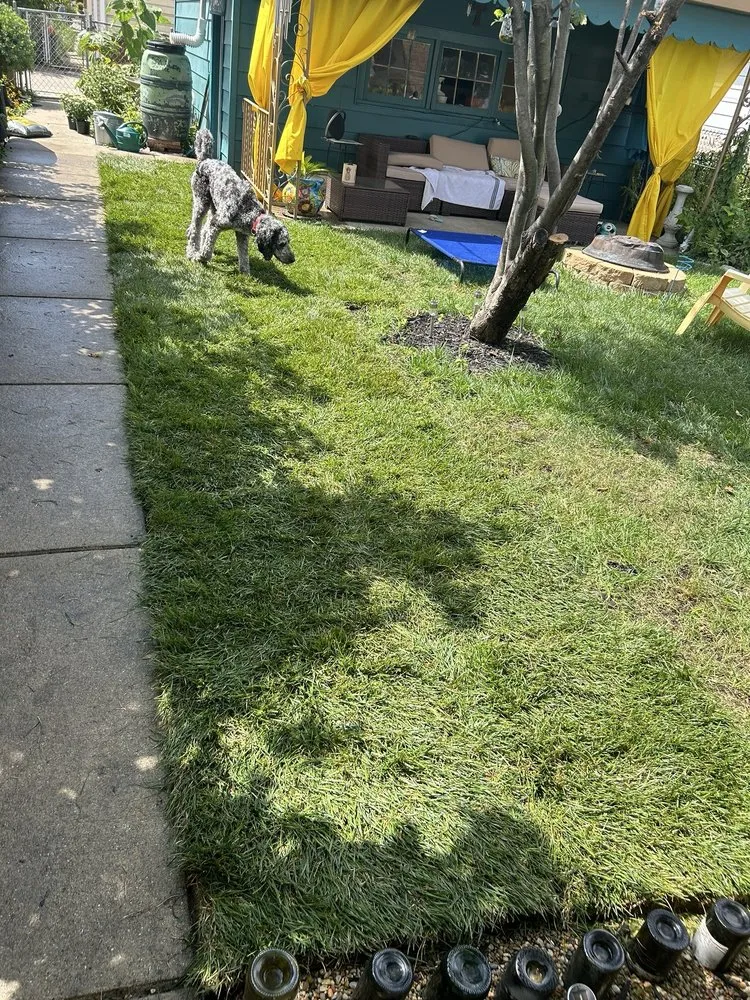 Expert yard cleanup service experts serving Chicago, IL - Unikstone Hardscape