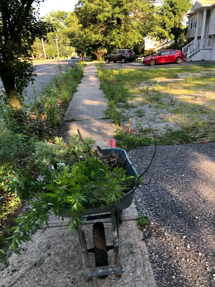 Expert lawn care service in Lanoka Harbor, NJ by Union Brothers Pavers
