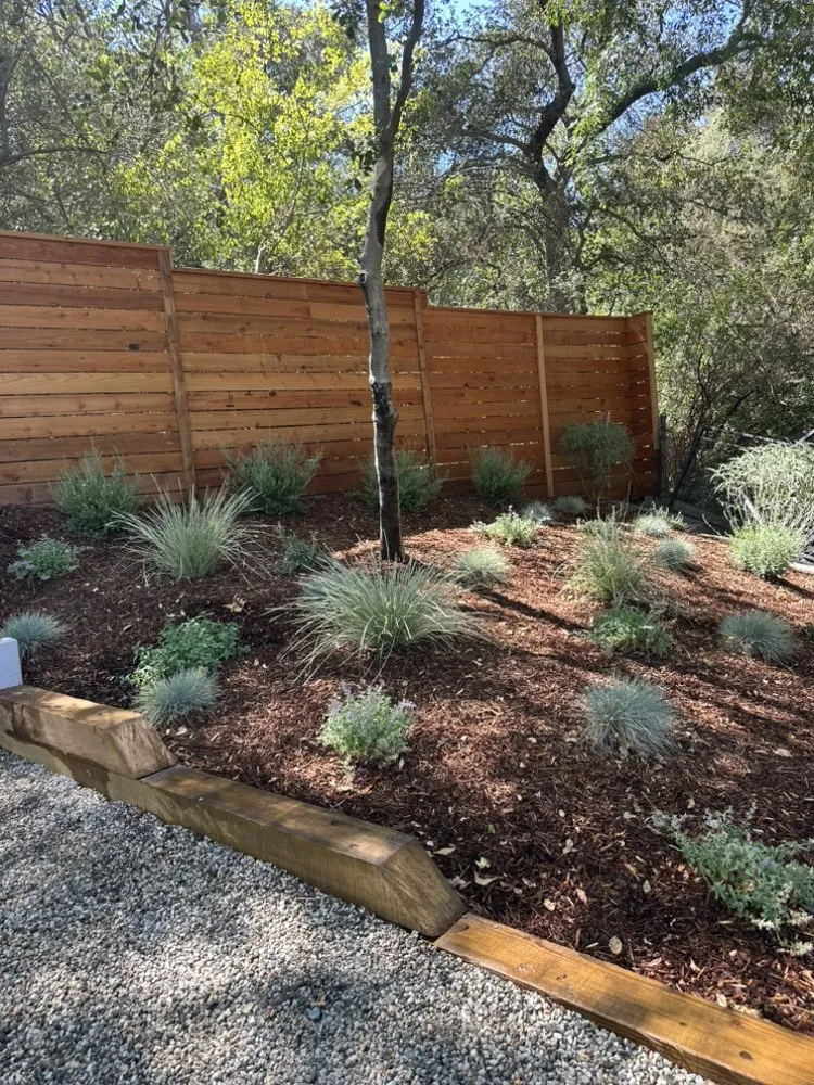 Expert yard maintenance experts serving Pasadena, CA - Union Landscape