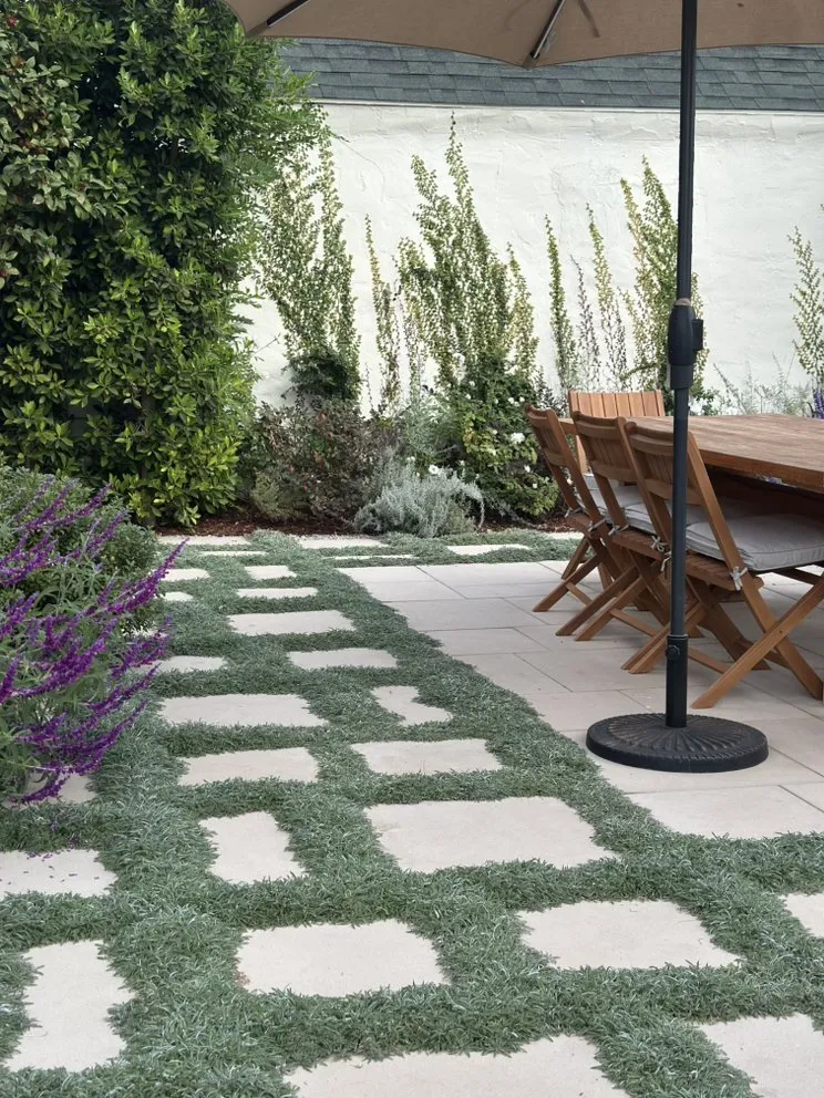 Trusted lawn care service near you in Pasadena, CA by Union Landscape