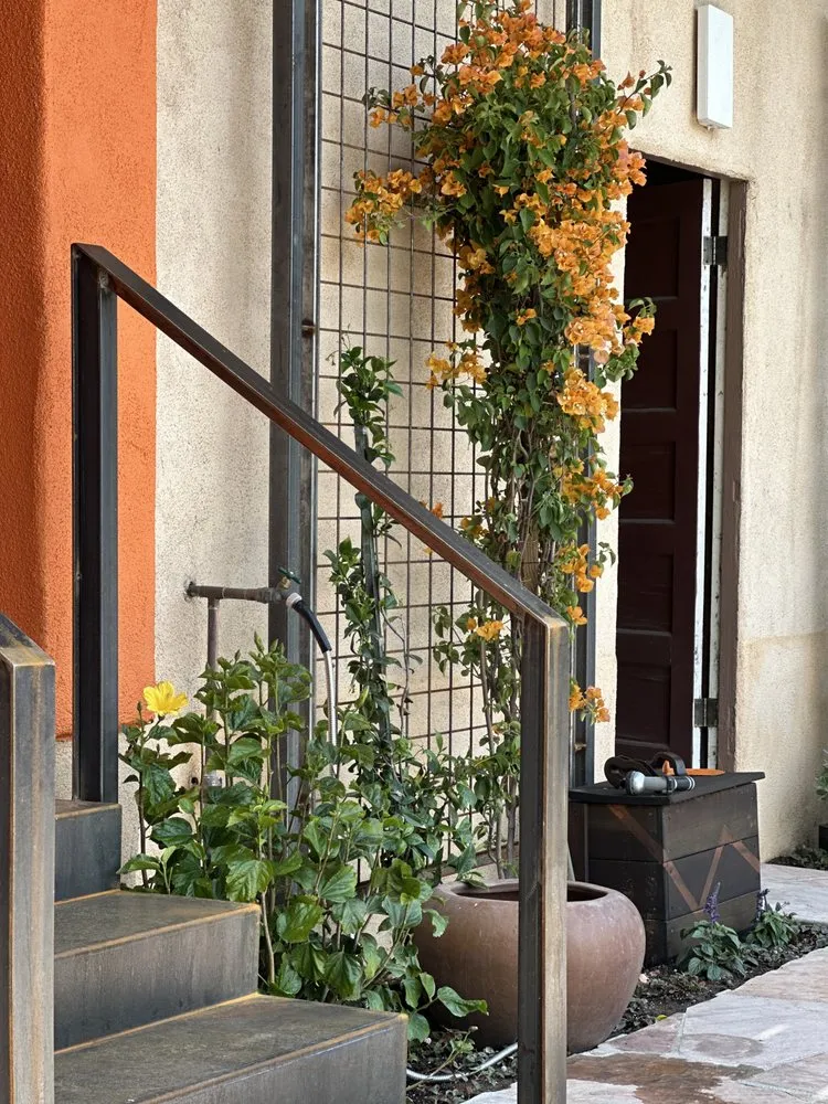 Local residential landscaping experts serving Pasadena, CA - Union Landscape