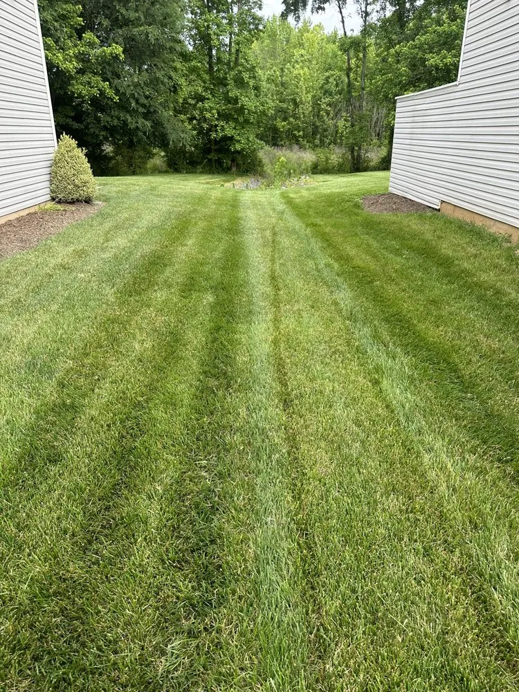 Custom outdoor landscaping near you across Charlotte, NC - Union Lawn Services