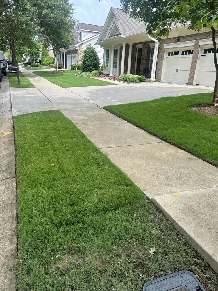 Professional residential landscaping in Charlotte, NC - Union Lawn Services