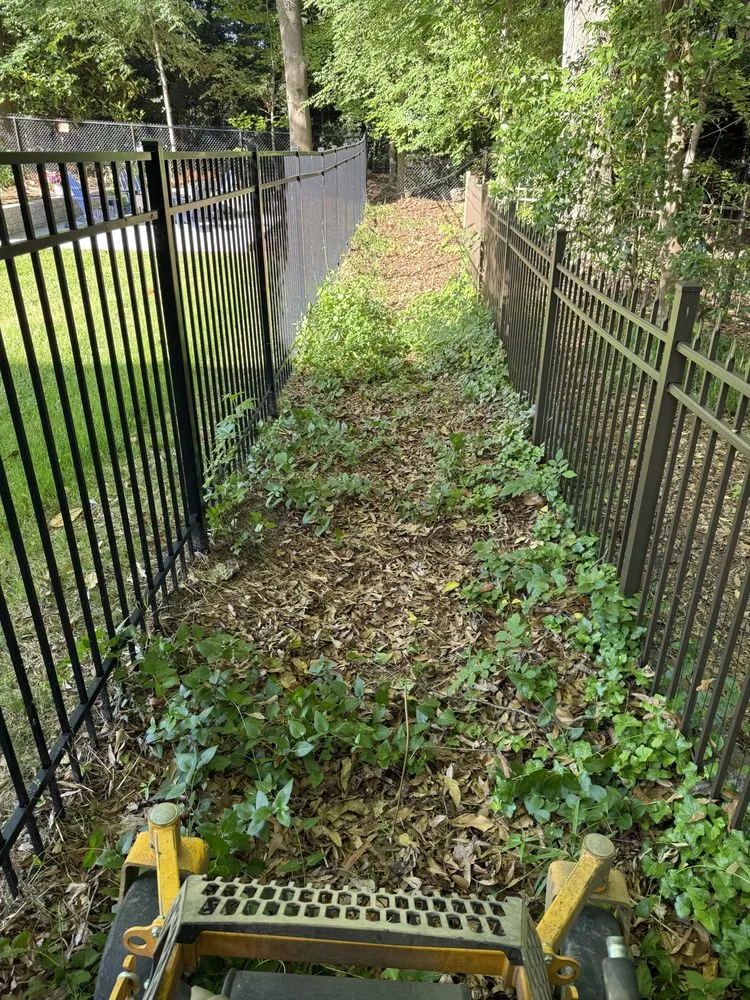 Local garden landscaping in Charlotte, NC - Union Lawn Services