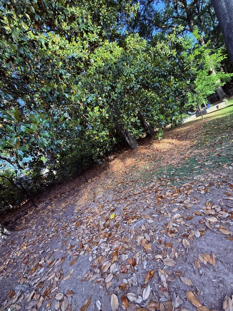 Custom lawn care service experts serving Charlotte, NC - Union Lawn Services