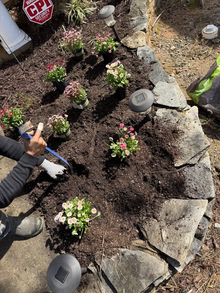 Local lawn care service in Charlotte, NC by Union Lawn Services