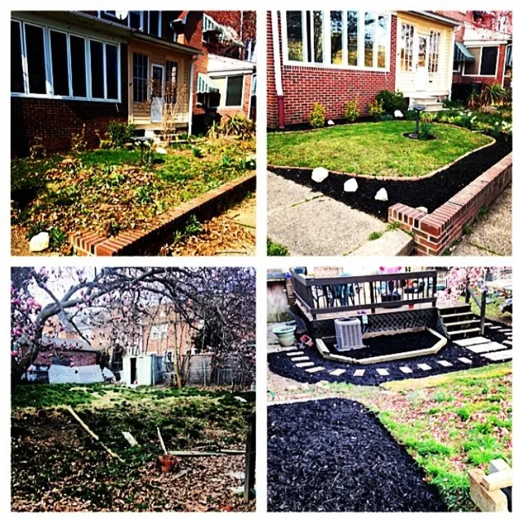 Custom yard cleanup service in Elsmere, DE - Union Park Landscaping