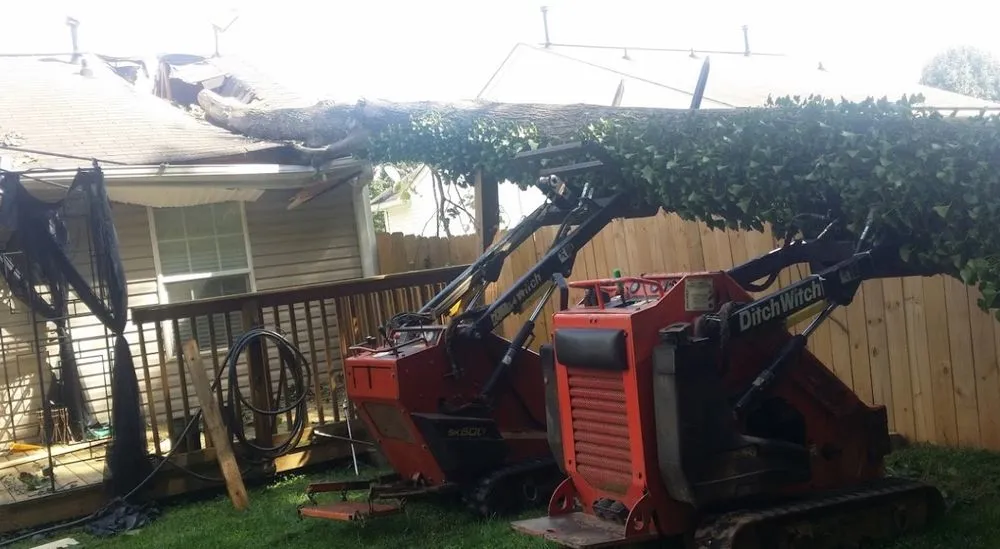 Local outdoor landscaping in Indian Trail, NC - Union Tree Experts