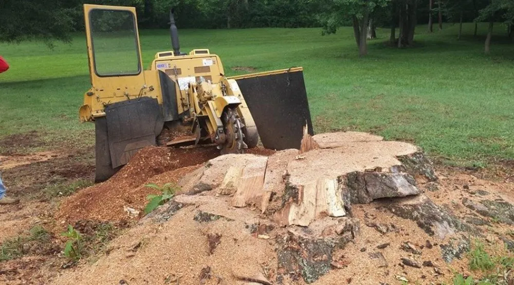 Local lawn mowing service for residential properties in Indian Trail, NC by Union Tree Experts