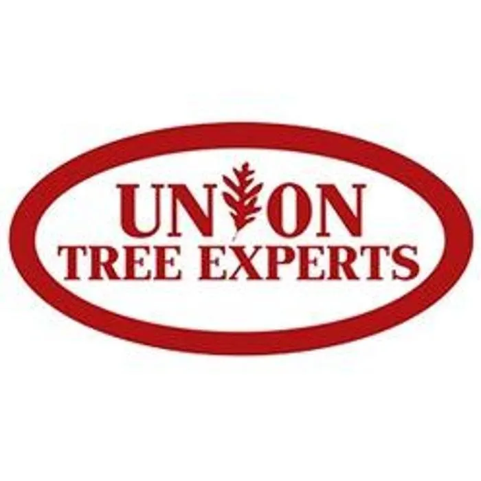 Trusted outdoor landscaping experts serving Indian Trail, NC - Union Tree Experts