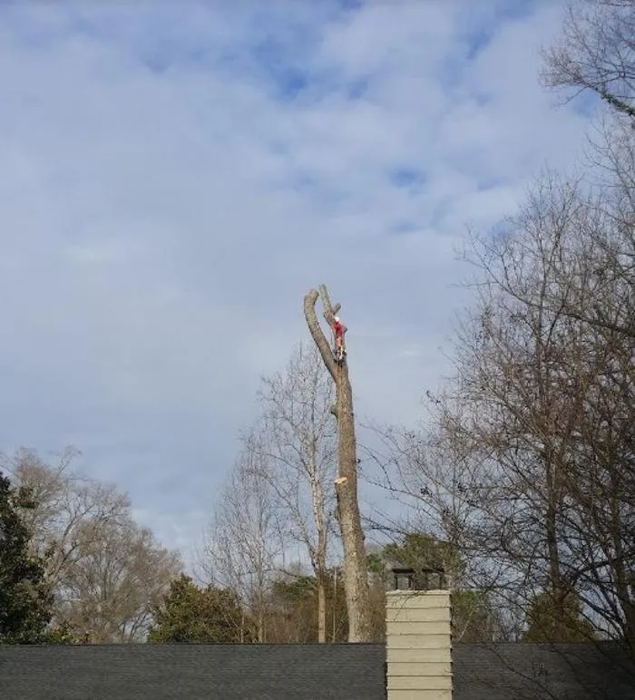 Reliable residential landscaping for homes across Indian Trail, NC - Union Tree Experts