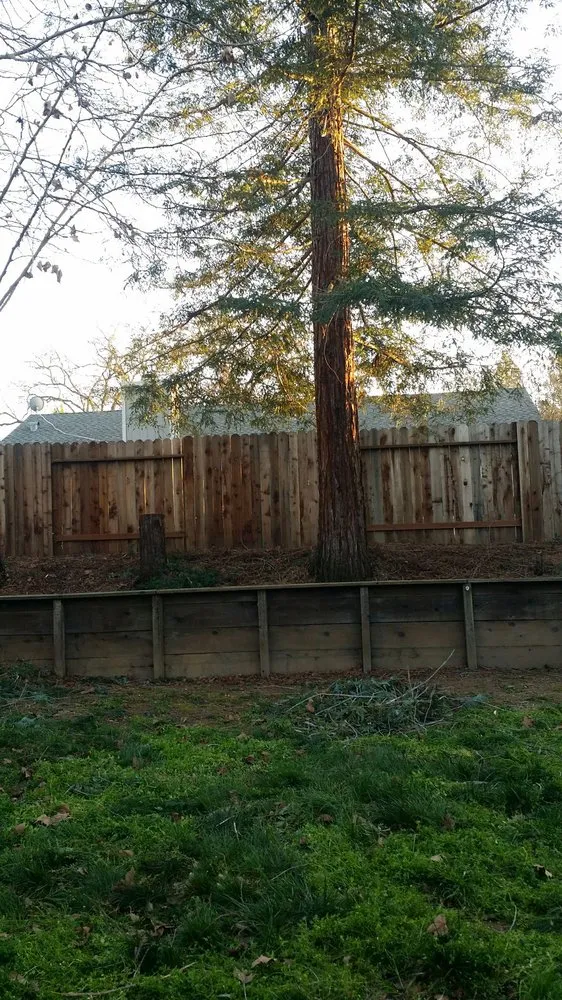 Top-rated lawn care service in Foresthill, CA by Unique Arbor Tree Care