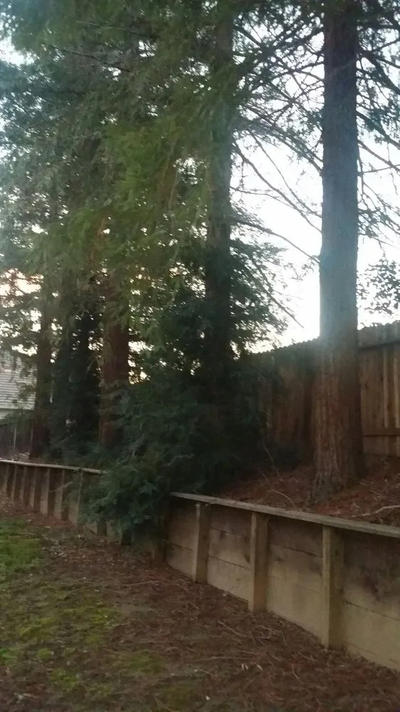 Local lawn mowing service in Foresthill, CA by Unique Arbor Tree Care