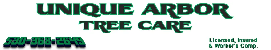 Reliable yard maintenance experts serving Foresthill, CA - Unique Arbor Tree Care