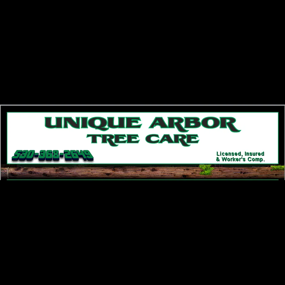 Reliable residential landscaping for homes in Foresthill, CA by Unique Arbor Tree Care