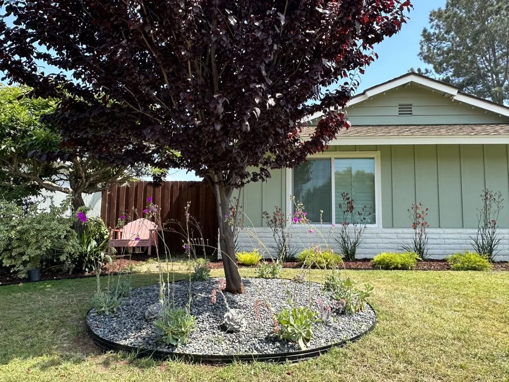 Custom landscape installation in Vista, CA by Unique California Landscape Construction