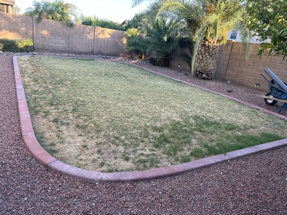 Top-rated lawn care service in Phoenix, AZ by Unique Choice Design