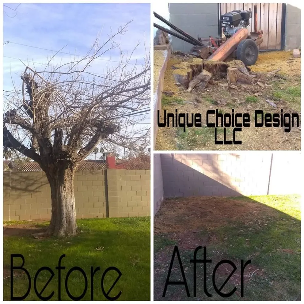 Trusted yard maintenance in Phoenix, AZ - Unique Choice Design