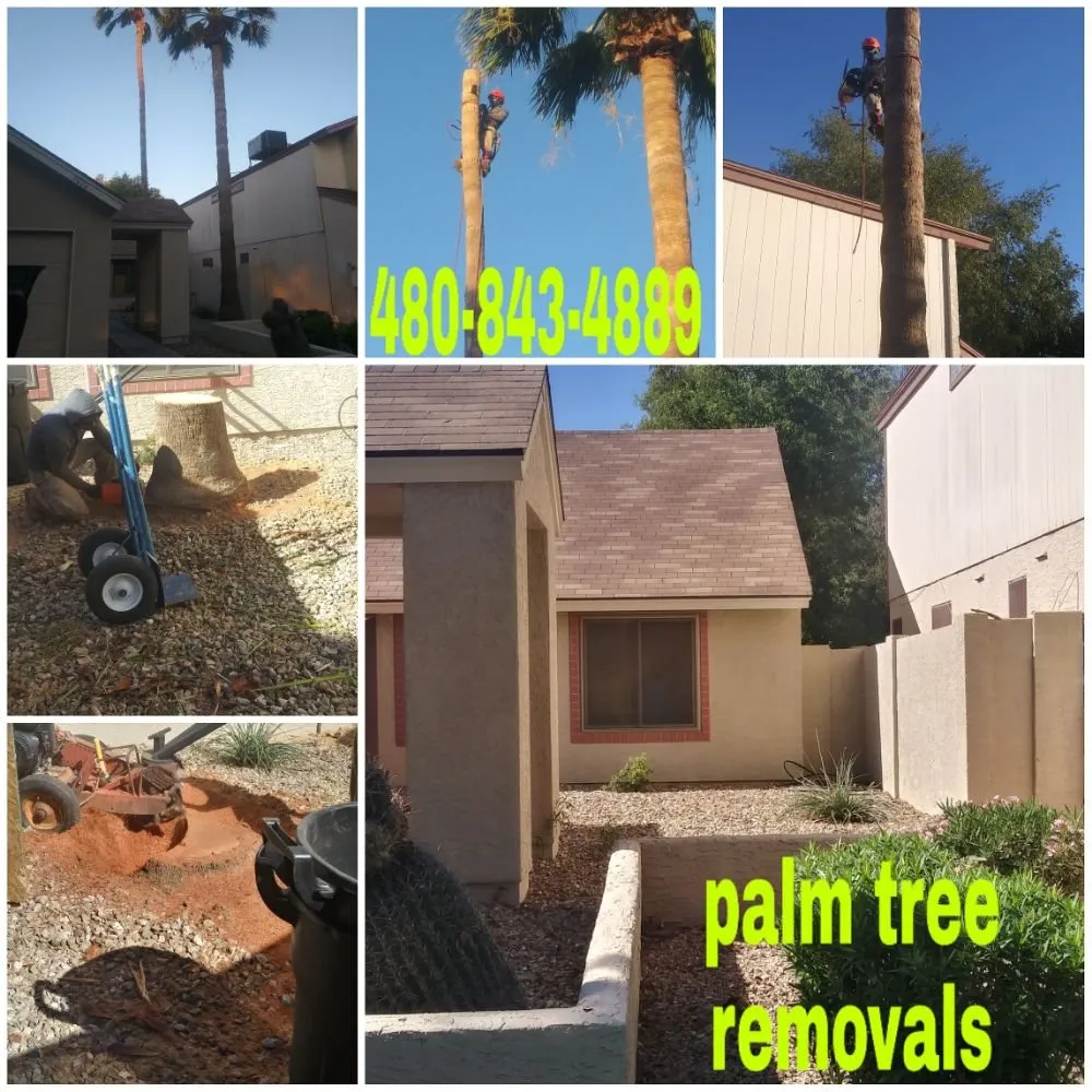 Custom residential landscaping with custom design across Phoenix, AZ - Unique Choice Design