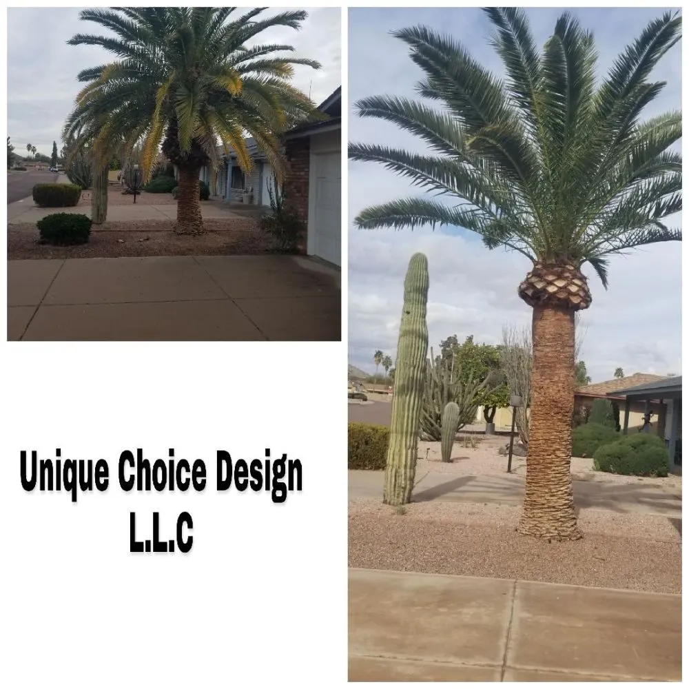 Professional lawn mowing service for residential properties across Phoenix, AZ - Unique Choice Design