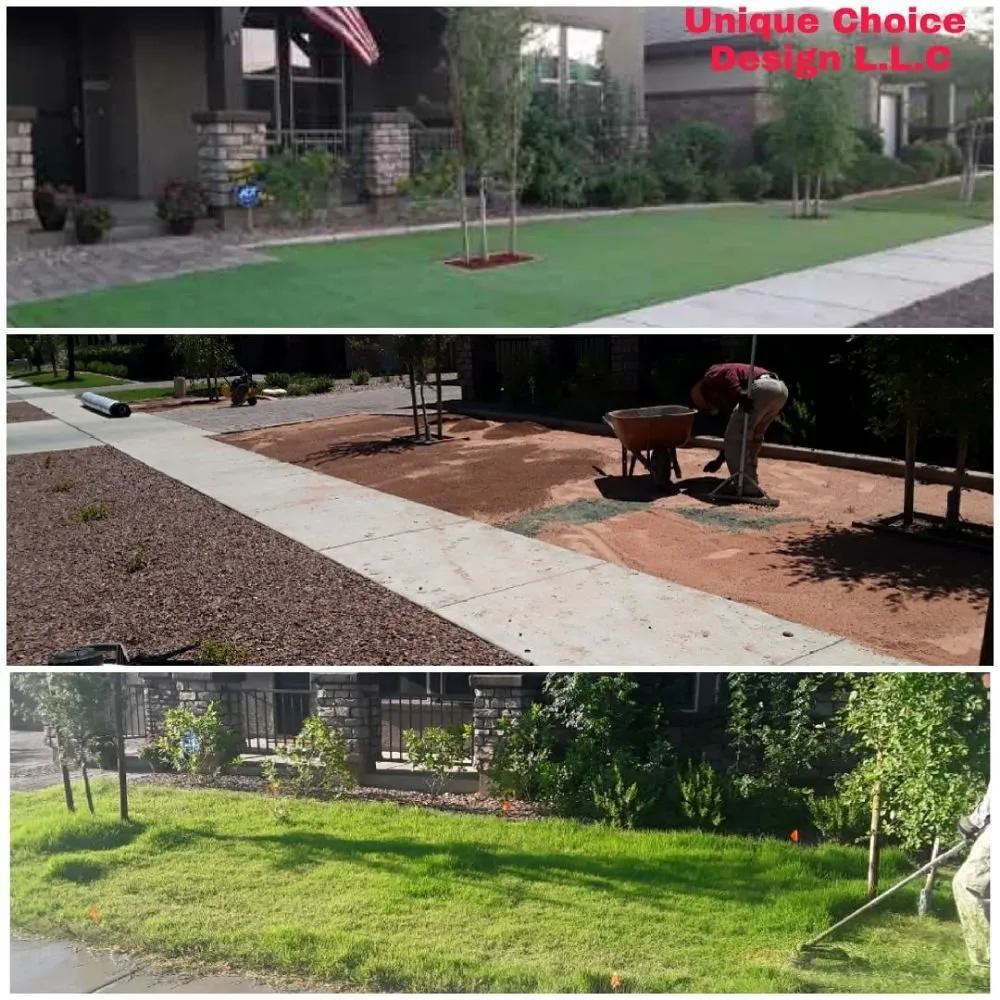 Top-rated yard cleanup service experts serving Phoenix, AZ - Unique Choice Design