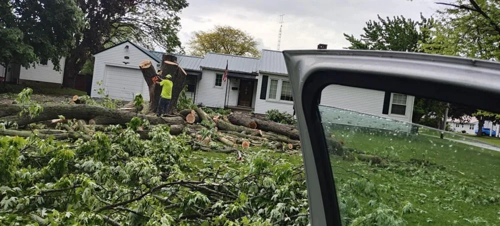 Top-rated landscape design in Springfield, OH - Unique Cuts And Stump Grinding