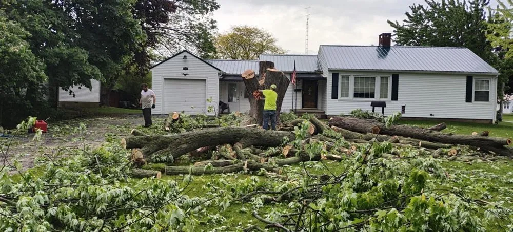 Local garden landscaping for outdoor upgrades across Springfield, OH - Unique Cuts And Stump Grinding