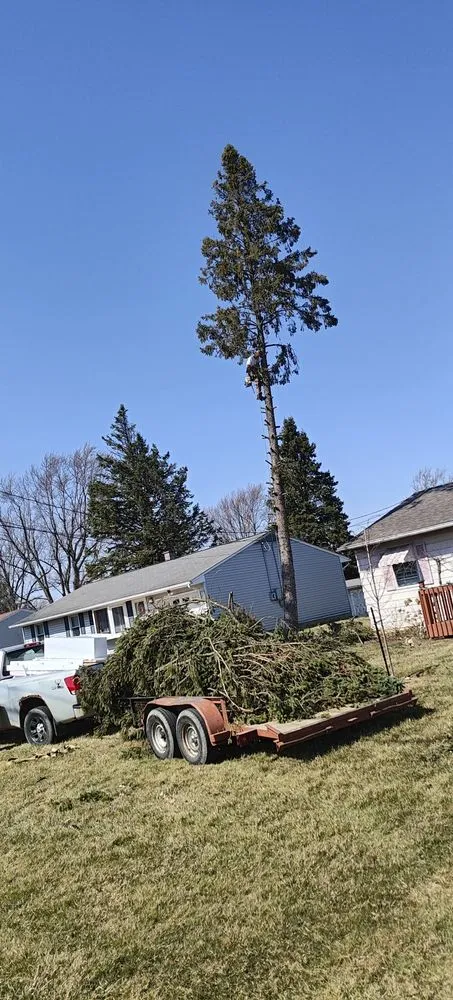 Expert outdoor landscaping near you across Springfield, OH - Unique Cuts And Stump Grinding