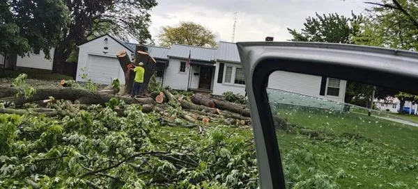 Unique Cuts And Stump Grinding Logo