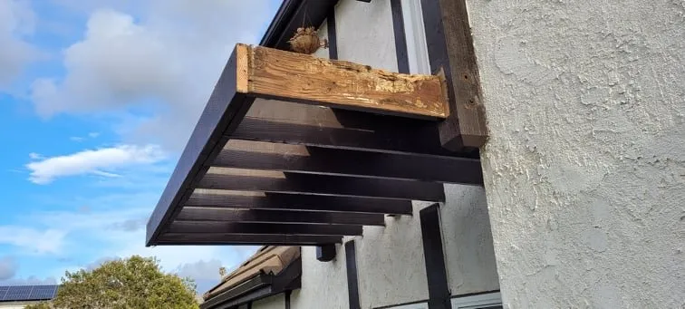 Affordable landscaping services in Del Mar, CA by Unique Deck and Patio