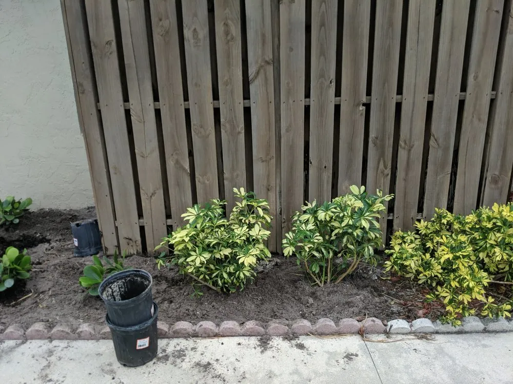 Professional lawn mowing service with custom design across Fort Lauderdale, FL - Unique design & landscaping services